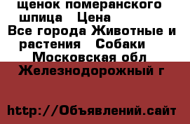 щенок померанского  шпица › Цена ­ 50 000 - Все города Животные и растения » Собаки   . Московская обл.,Железнодорожный г.